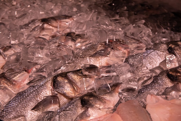 Foto di ghiaccio con pesce nella foto del supermercato per la tua pubblicità