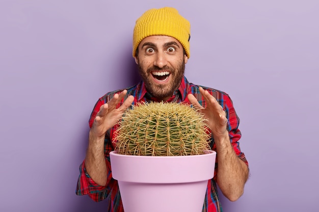 На фото удивленный небритый мужчина пытается дотронуться до кактуса острыми шипами, радостно улыбается, носит желтую шляпу и косичку, имеет веселое веселое выражение лица, позирует на фоне фиолетовой стены. ух, какое растение!