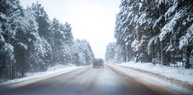 Фото зимней дороги с деревьями в снегу днем