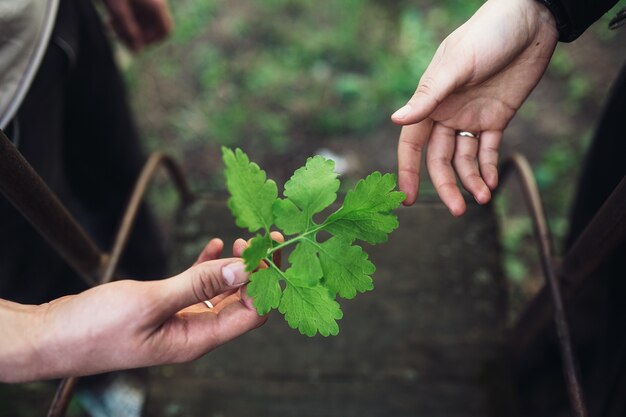 그네 근처의 손의 사진 쌍. 보기 닫기