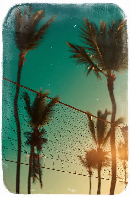 Photo in retro style with volleyball net on beach and palms behind blue summer sky