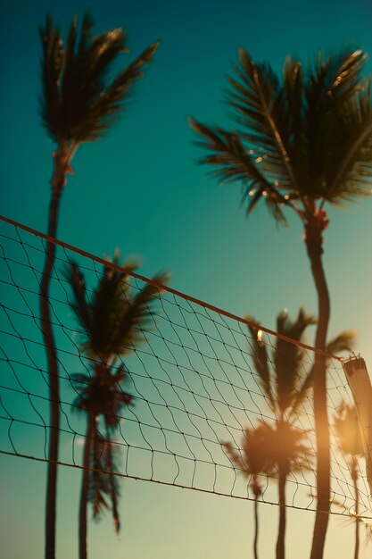 青い夏の暗い夕日とヤシの木の後ろのビーチでバレーボールネットの写真