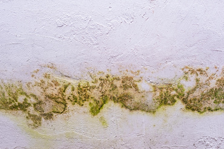 Free Photo photo of wall texture pattern
