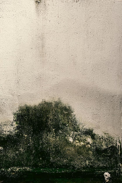 Free photo photo of wall texture pattern
