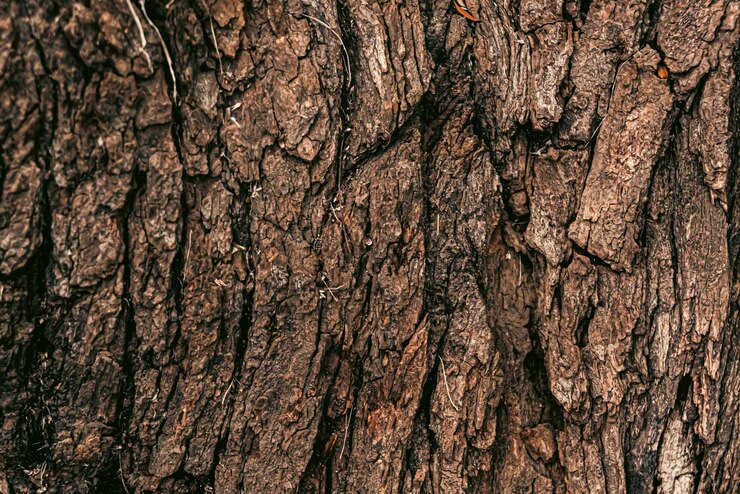 ฟรี Photo photo of wood texture pattern