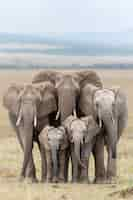 Free photo photorealistic scene of wild elephants