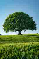 Free photo photorealistic tree with branches and trunk outside in nature