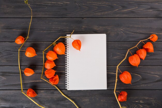 Physalis branches with notebook on wooden table