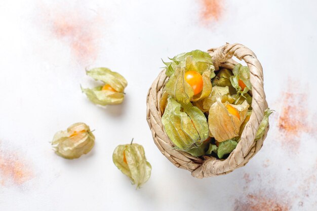 Physalis peruviana 또는 Golden berry.