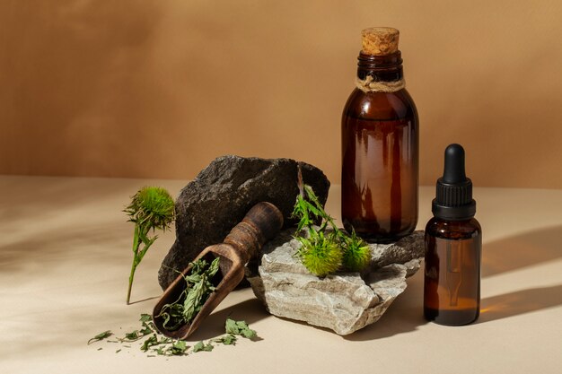 phytotherapy items still life high angle
