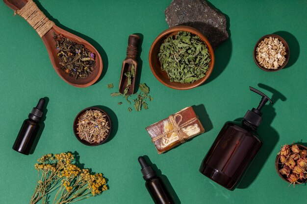 Phytotherapy still life above view