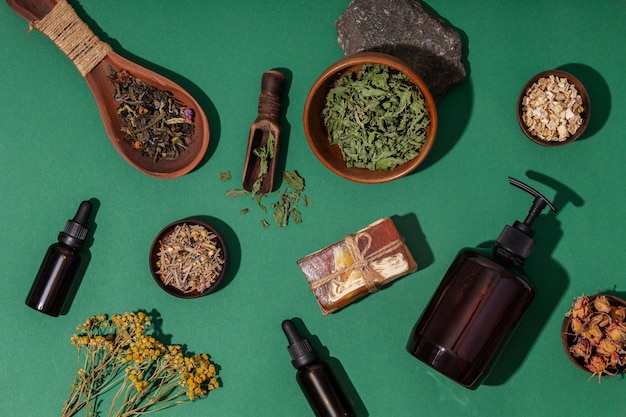 Phytotherapy still life above view