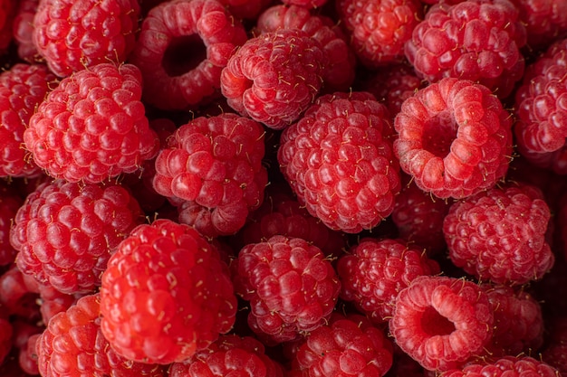 Free photo picked organic raspberries in macro.