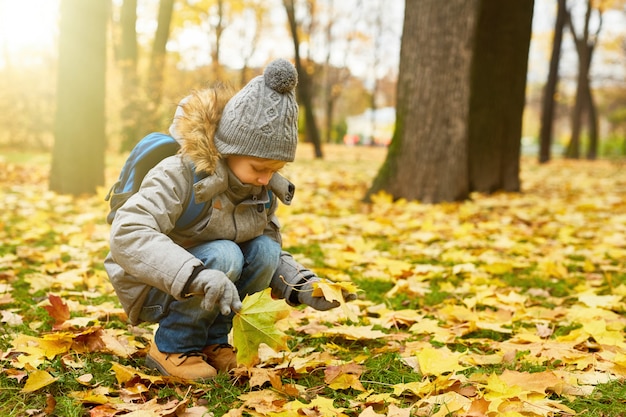 Free photo picking up leaves