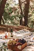 Foto gratuita organizzazione di un picnic con cibo delizioso