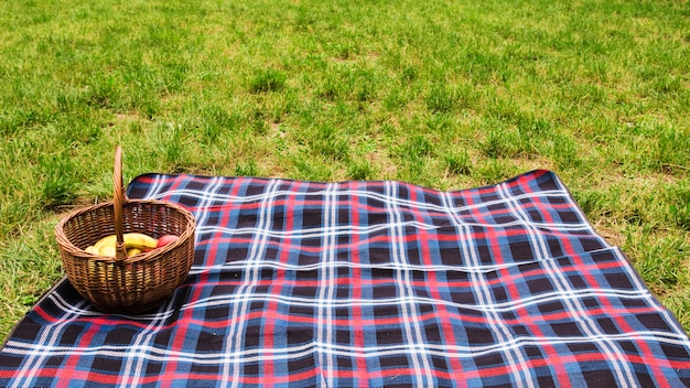 Picnic basket on blanket over the green grass