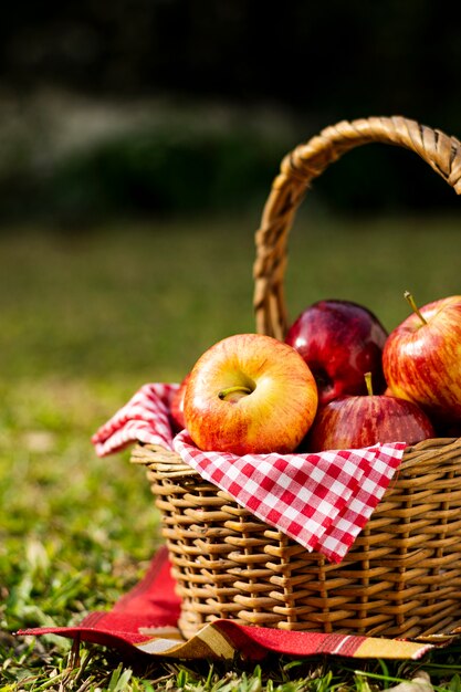 りんごいっぱいのピクニックバスケット