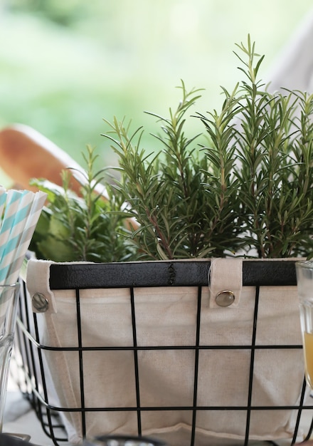 Foto gratuita cestino da picnic, erbe aromatiche