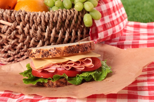 Picnic basket and sandwich