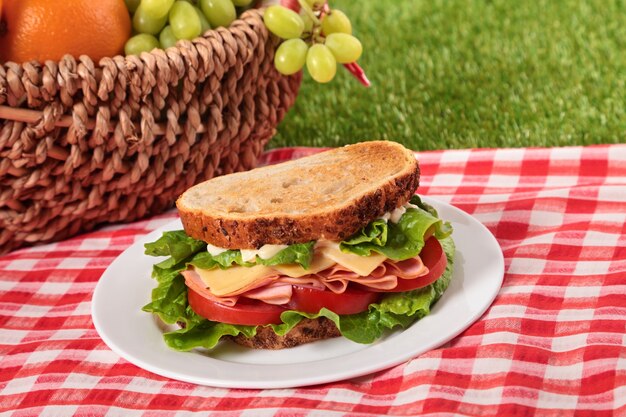 Picnic basket and toasted ham and cheese sandwich