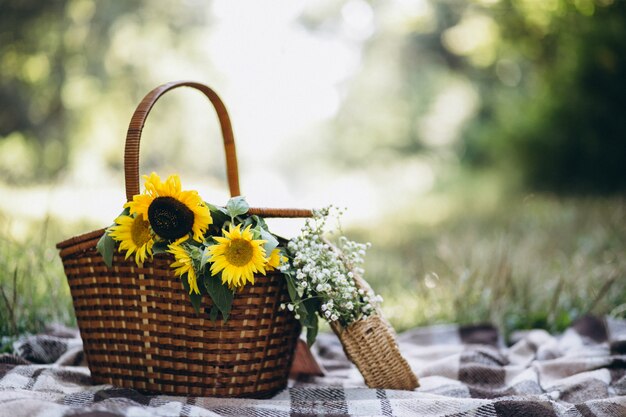 Picnic basket with fruit and flowers on blanket