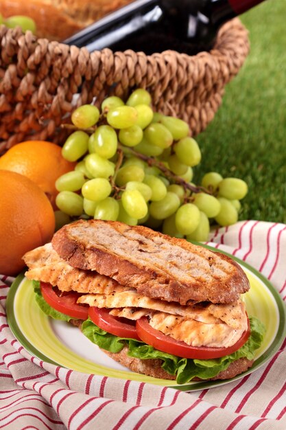 Picnic basket with griddled chicken sandwich