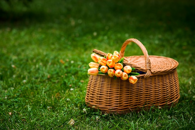 Picnic basket with a tulips bouquet