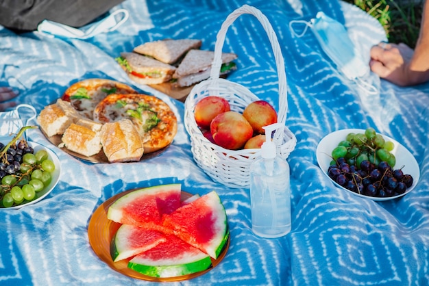 Free photo picnic blanket with goodies and disinfectant for hands