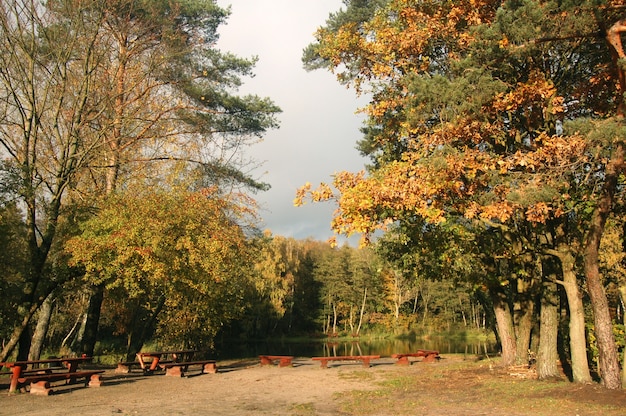 森の中のピクニック場所