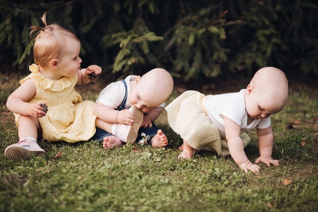 Picture of three little brothers or sisters crawl on a green grass and have fun togehter in summer park
