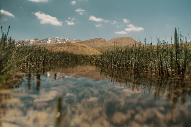 Живописный горный пейзаж с озером