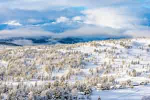 Free photo picturesque winter landscape with houses, trees and mountains in stryn, norway