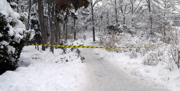 Piece of barrier tape in a snowy forest blocking entry