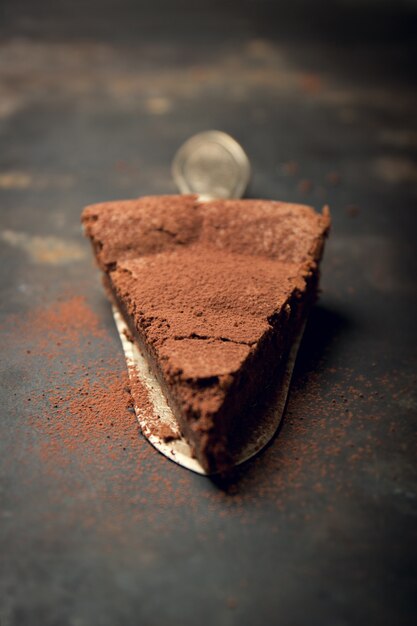 Piece of chocolate cake topped with cocoa