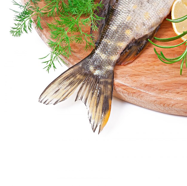 Piece of fresh raw fish in bowl