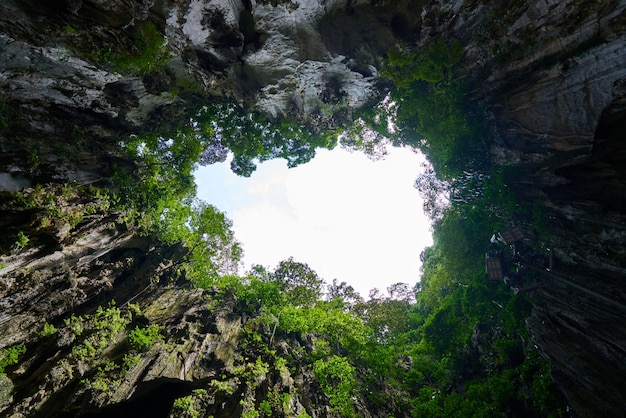 Free photo piece of sky between treetops