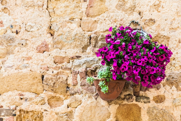 이탈리아 투스카니 지방 피엔차. 꽃과 함께 오래 된 벽