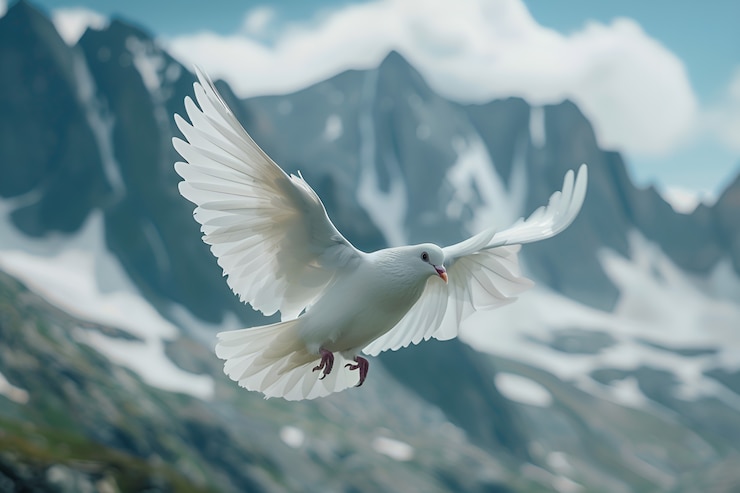 Free Photo pigeon in natural environment