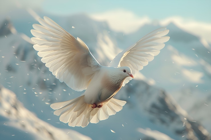 Free Photo pigeon in natural environment