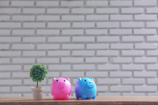 Piggy bank and pot on the table with white wall.