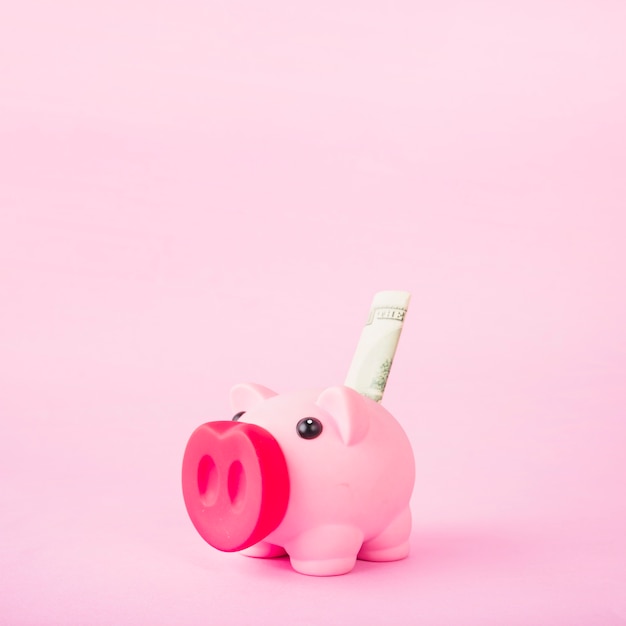 Piggy bank with money on pink background