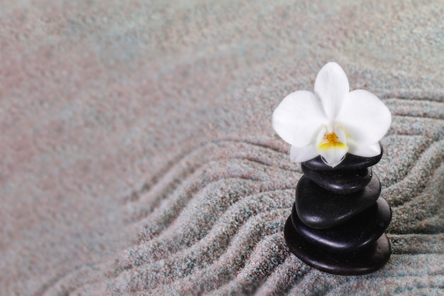 Нагромождение черных камней с орхидеей сверху