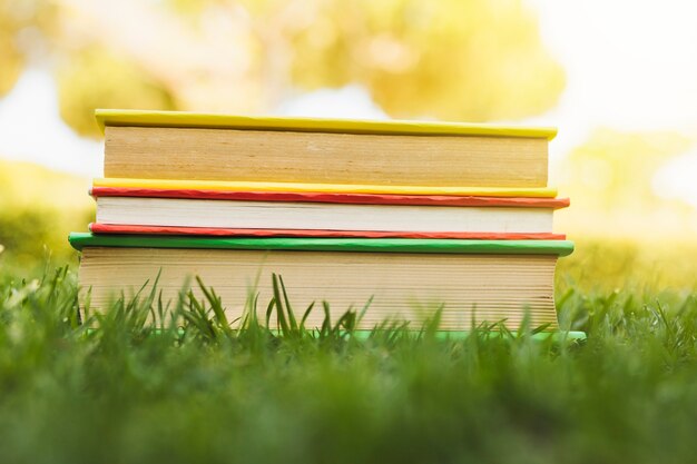 Pile of books on grass at sunlight