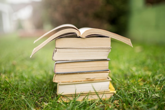 Pile of books on grass