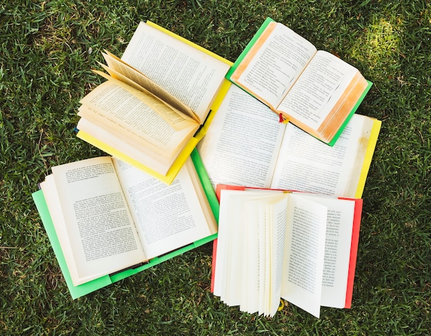 Pile of books on grass