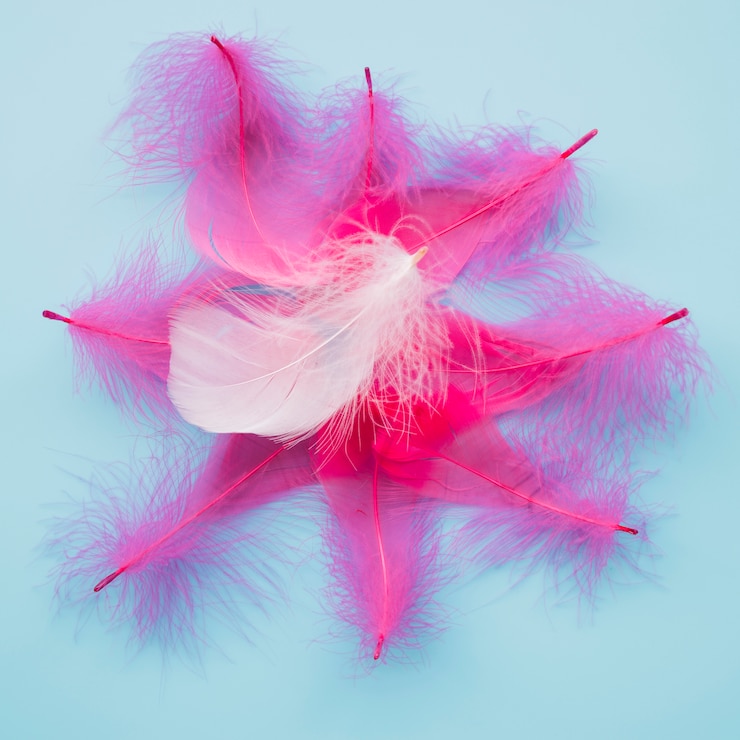 Free Photo pile of colorful feathers