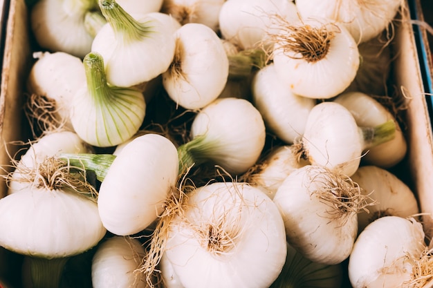 Pile of fresh garlic in box