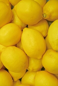 Pile of fresh ripe vibrant yellow lemons for backdrop or banner