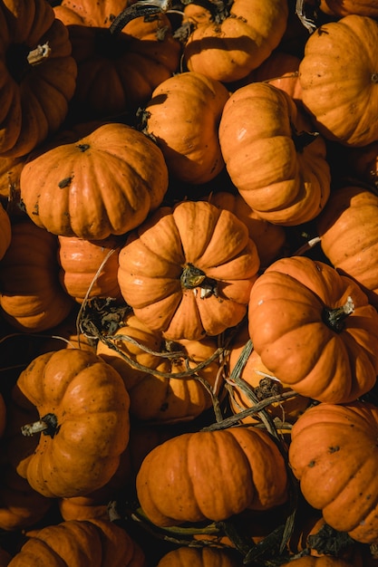 Foto gratuita pila di zucche arancioni