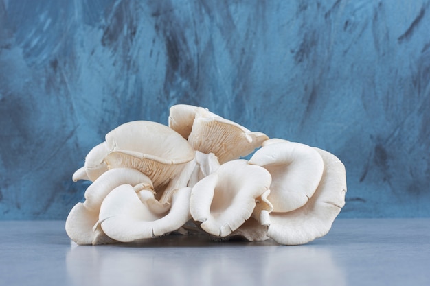 Free photo pile of oyster mushroom on grey background.